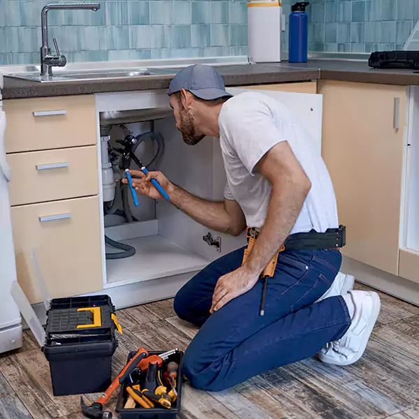 Springs Plumbing Pro logo