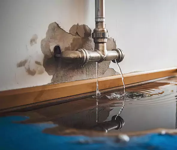 Professional Water Damage Restoration Experts in Colorado Springs, CO — Fast, Reliable & Certified