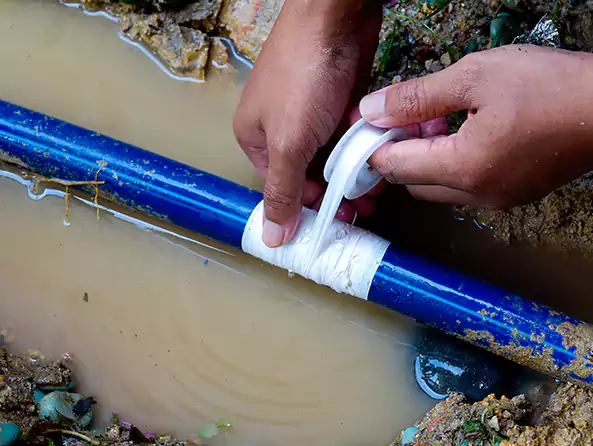  Why Choose Springs Plumbing Pro for Leak Detection in Colorado Springs, CO?]